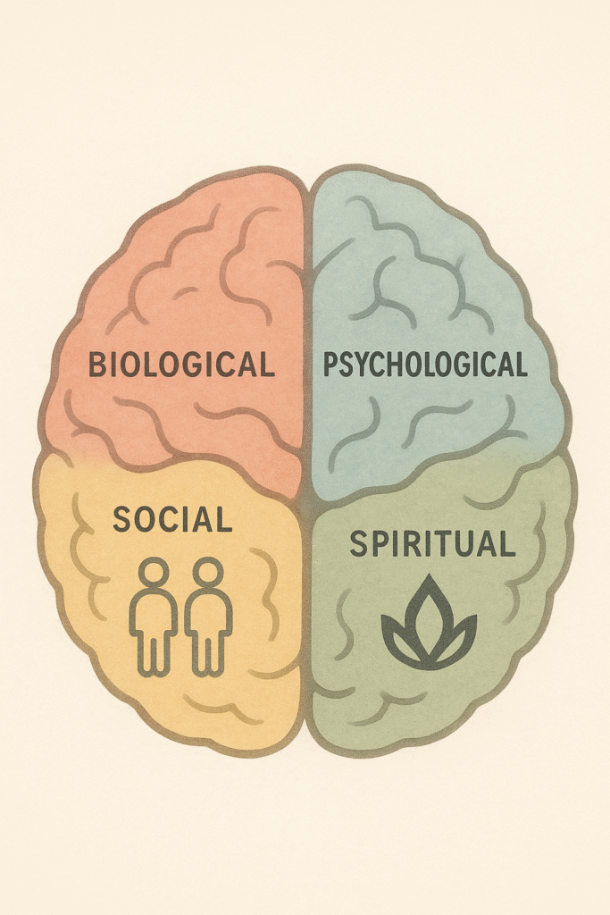 camadas da complexa mente humana